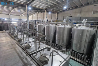 Sistema de tratamiento de agua RO Filtro de agua Sistema de ósmosis inversa para la planta de agua potable